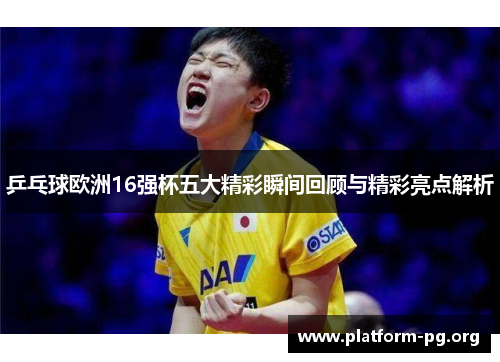 乒乓球欧洲16强杯五大精彩瞬间回顾与精彩亮点解析 乒乓球欧洲16强杯五大精彩瞬间回顾与精彩亮点解析