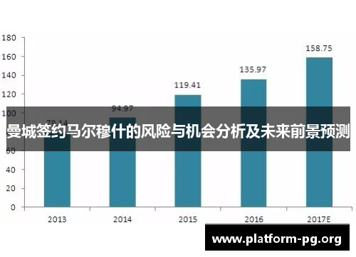 曼城签约马尔穆什的风险与机会分析及未来前景预测 曼城签约马尔穆什的风险与机会分析及未来前景预测