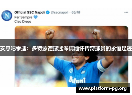 安息吧泰迪:多特蒙德球迷深情缅怀传奇球员的永恒足迹 安息吧泰迪:多特蒙德球迷深情缅怀传奇球员的永恒足迹