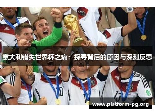 意大利错失世界杯之痛：探寻背后的原因与深刻反思